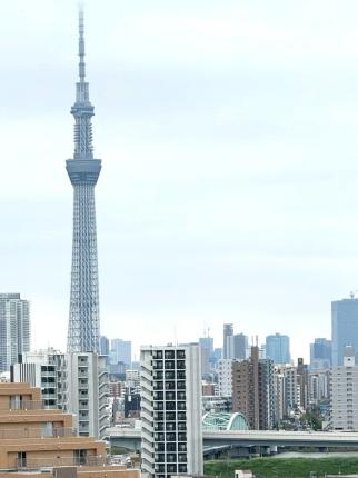 写真11